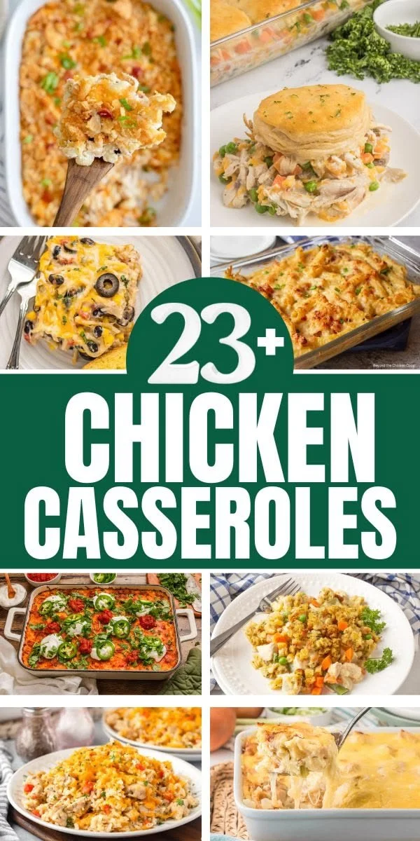 Delicious chicken casserole recipes for family meals