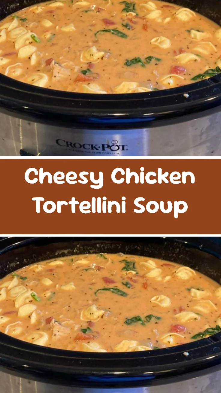 Cheesy Chicken Tortellini Soup