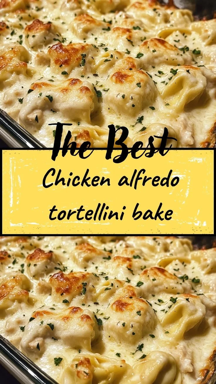 Creamy chicken alfredo tortellini bake dish garnished with parsley