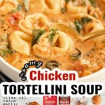 chicken tortellini soup 2026 07 23 030232 683x1024 1