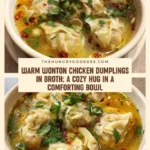 comforting chicken wonton soup homemade dumplings 2026 07 23 030243 683x1024 1