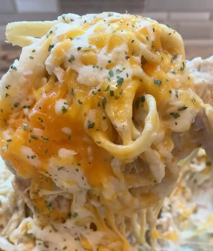 Easy chicken tetrazzini recipe