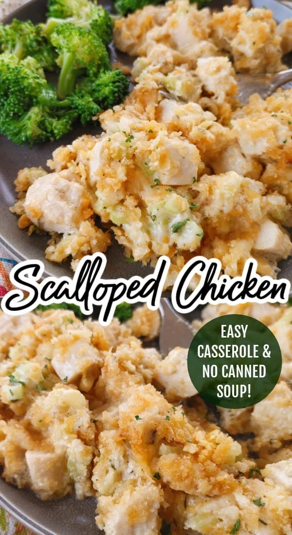 Delicious scalloped chicken casserole topped with cheese and herbs