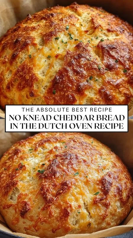 Freshly baked no-knead cheddar bread in a Dutch oven on a rustic wooden table.