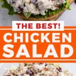 best chicken salad recipe winter chicken salad r 2026 08 06 180250 488x1024 1