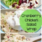 cranberry chicken salad wrap with greek yogurt c 2026 08 06 180306 357x1024 1