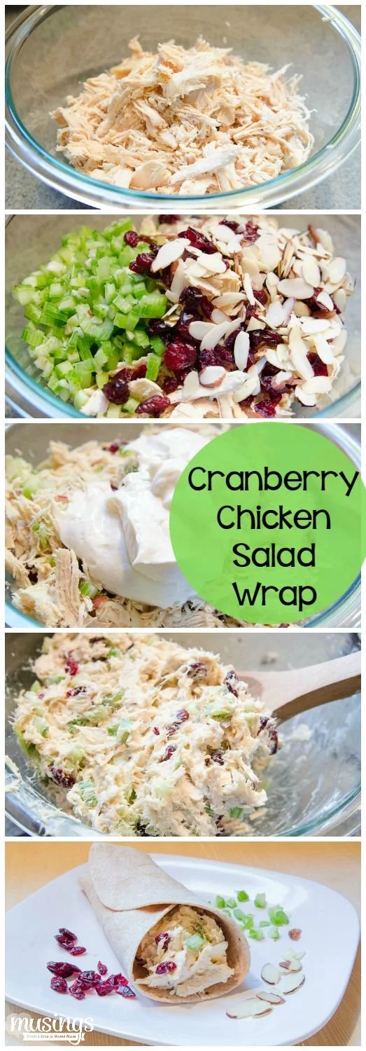 Cranberry Chicken Salad Wrap with Greek Yogurt on a plate