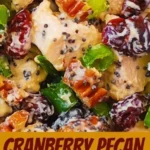 cranberry pecan chicken salad with poppy seed dres 2026 08 06 180442 457x1024 1