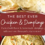 creamy homemade chicken and dumplings recipe chi 2026 08 06 180305 512x1024 1