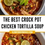 crock pot chicken tortilla soup 2026 08 06 180456 512x1024 1