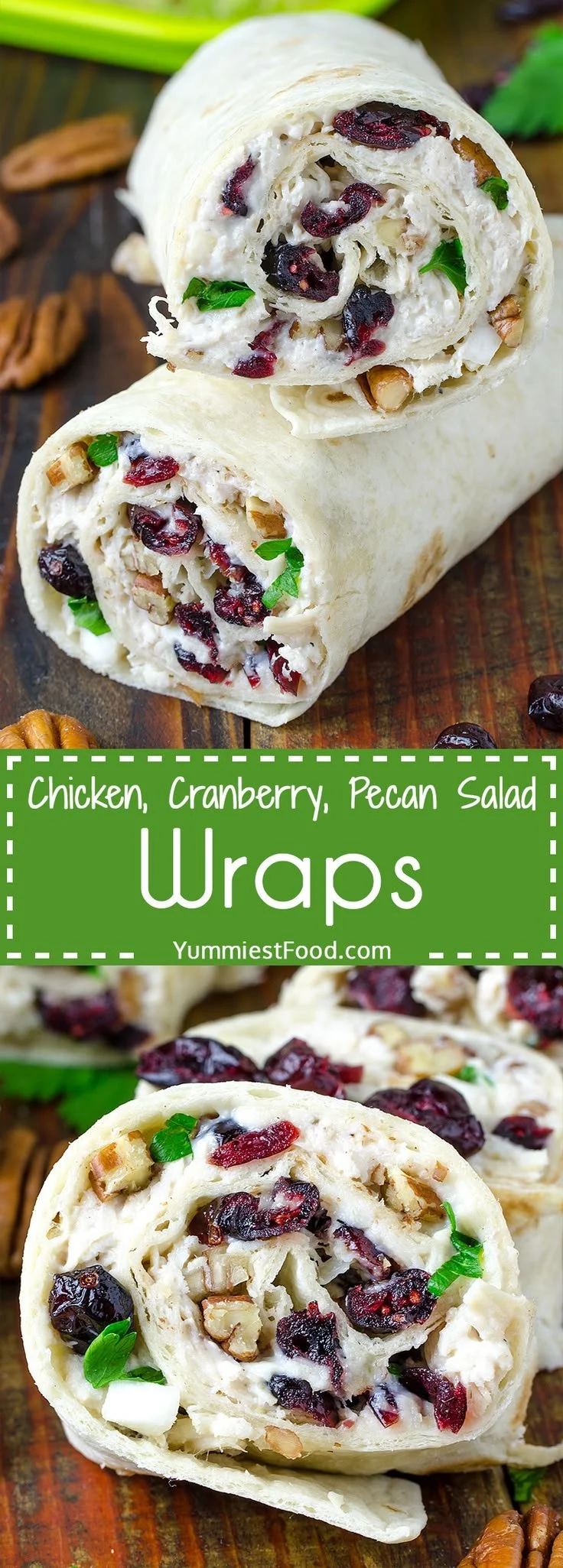 Delicious chicken salad wrap with cranberries and pecans