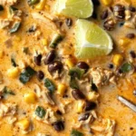 easy chicken poblano and black bean soup recipe 2026 08 06 180314 487x1024 1