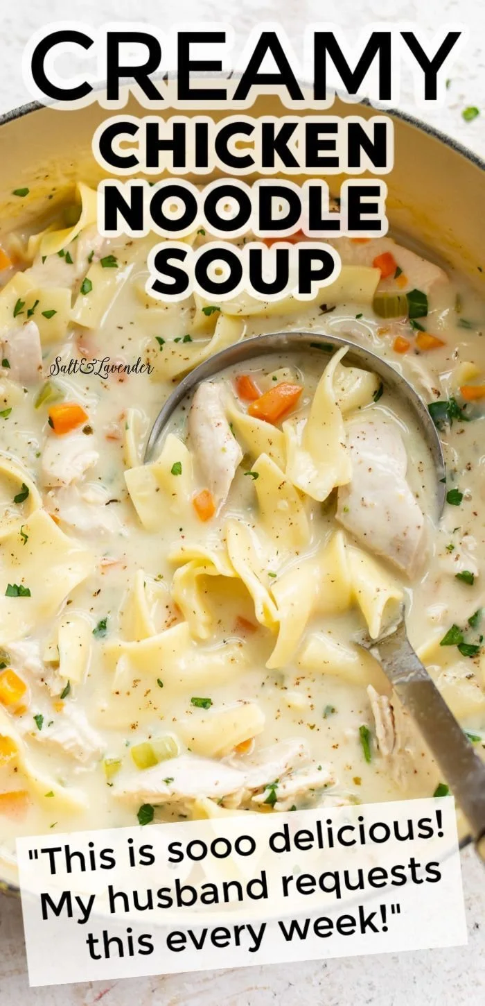 Bowl of easy creamy chicken noodle soup with vegetables and herbs