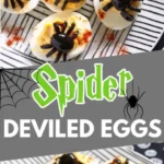 halloween spider deviled eggs deviled halloween 2026 08 06 180322 462x1024 1