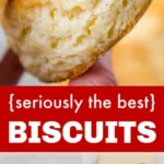 homemade biscuits the best biscuit recipe 2026 08 06 180341 462x1024 1