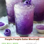 melissa recipes purple people eater mocktail rec 2026 08 06 180345 1