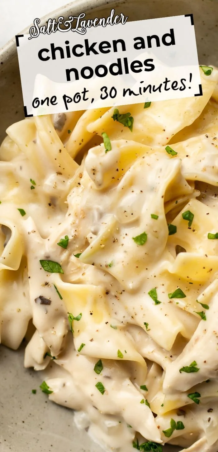 A bowl of One Pot Chicken and Noodles ready to serve.