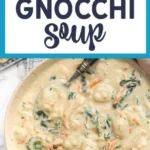 rotisserie chicken gnocchi soup 2026 08 07 022403 576x1024 1