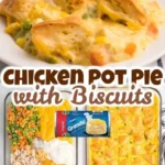 with just a handful of ingredients and a few minut 2026 08 06 180432 723x1024 1